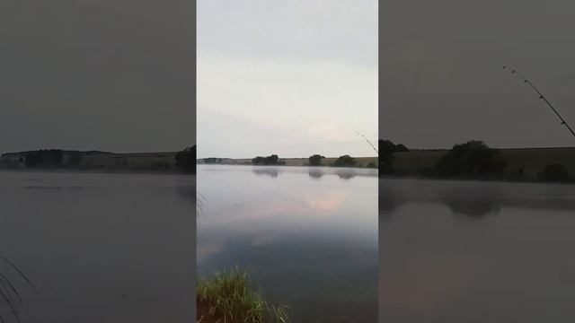 5 июля 2024 г.