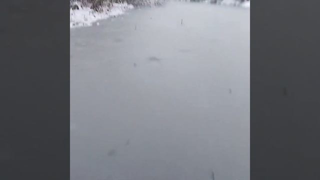 Перший лід! Рибалка на жерлиці! перша щука !