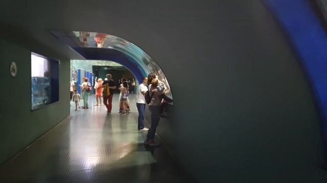 Москвариум 23 06 2019