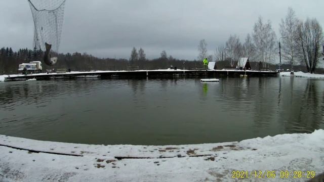 Фишка Петряиха, рыбасяцкое.