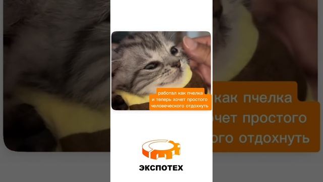 Когда работал всю неделю как пчелка