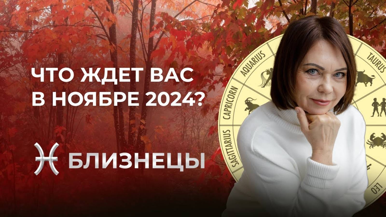 Прогноз для Близнецов на Ноябрь 2024: Работа, Здоровье и Неожиданные Финансовые Перемены!