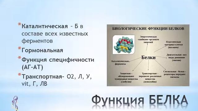 белки в детском