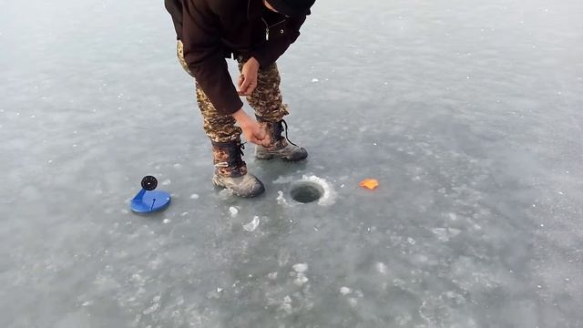 Зимняя рыбалка 02.01.19г. Работаем жерлицами
