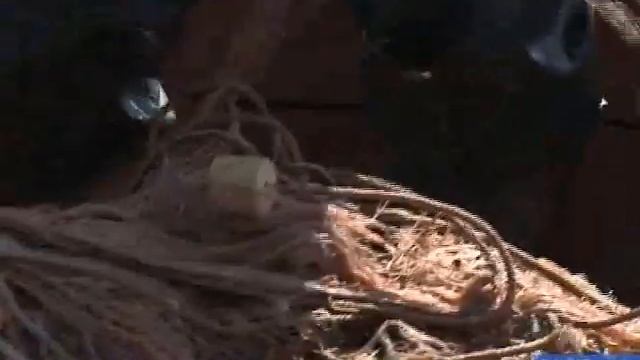На Ямале увеличены квоты на традиционное рыболовство