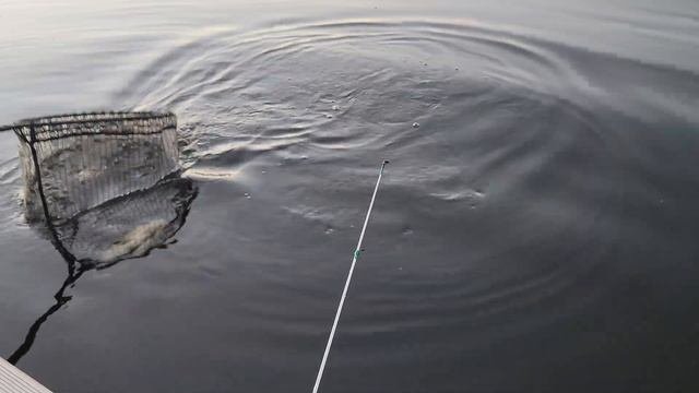 Ethan Catches A Huge RAINBOW TROUT 🌈 FISHING