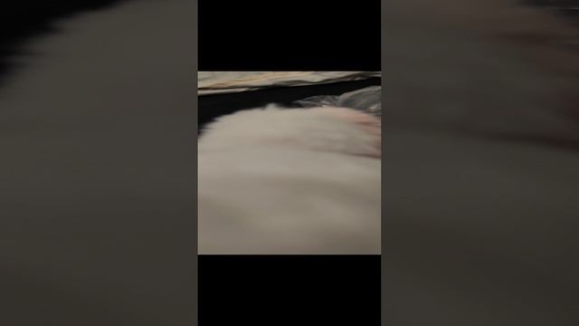 1000024917.mp4