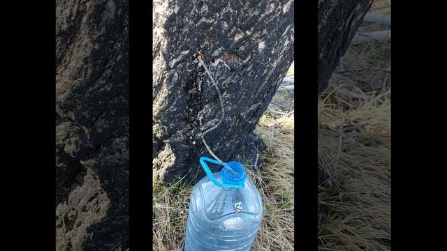 Завтра открытие  охоты