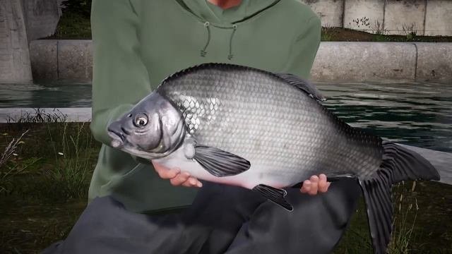 Ловим уклейку)