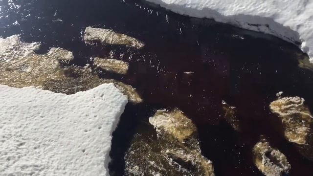 Экскурсия в Ораниенбаум