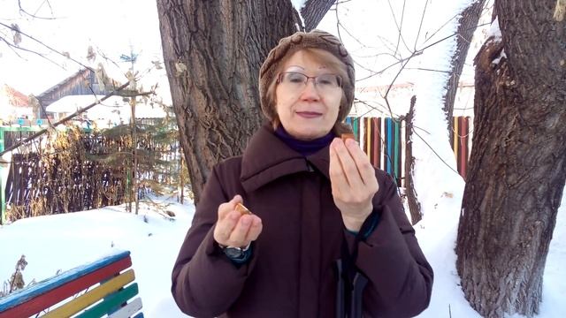 Возьмите в путешествие 20170131 125947