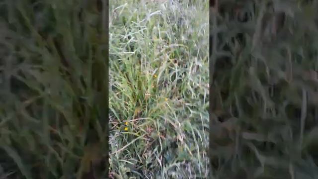Ярославль.Рыбинское водохранилище,(видео снято не профессионалом)