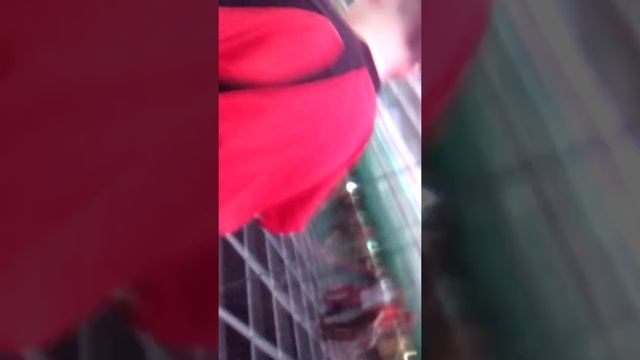 Зеркальный лабиринт. Взгляни на мир по-новому!(1)