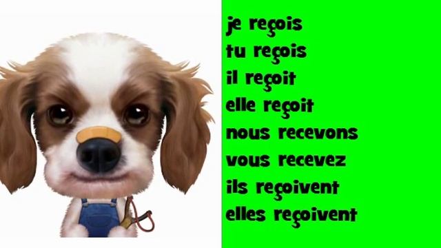 Французский музыкальный сопряжения # Opera Rock # глагол = recevoir
