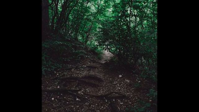 Nephyrium - Ghost trees of Eden