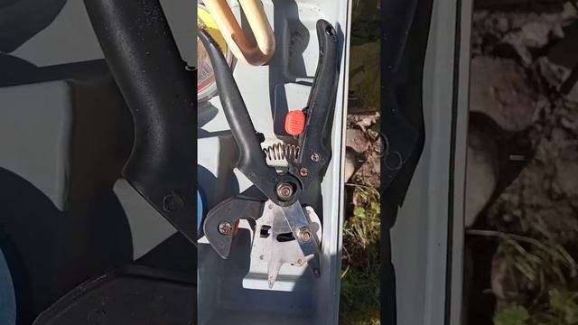 инструмент для прививок.