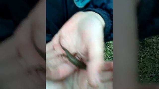 Спасение!! 1 часть!!