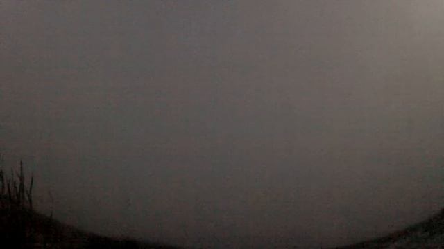 GOPR0081