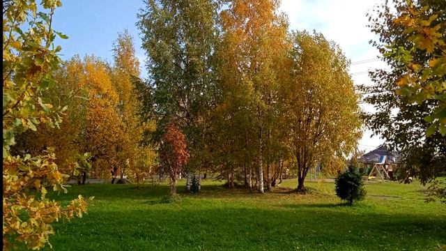 Осень  в Шведских прудах.