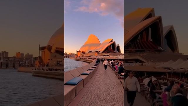 Opera House😍 #australia #webcams #australian #operahouse #opera #house #sydneybrides