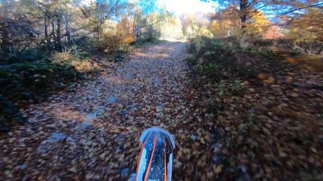 Ktm Autumn Ride. Exc 350, Exc 300 tpi, Exc 500. Enduro/Ендуро Закарпаття Карпати Эндуро Закарпатье