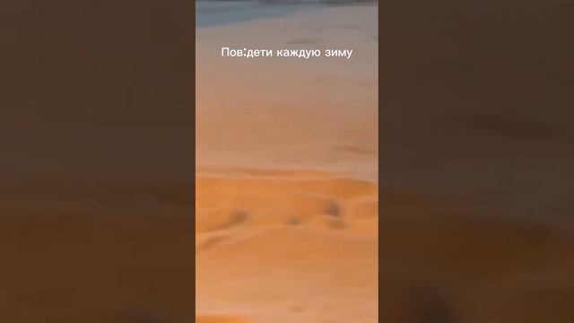 Пов:дети каждую зиму😂