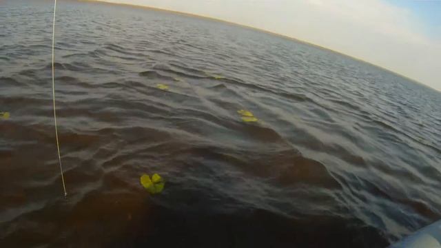 Palik LAke. Belarus.