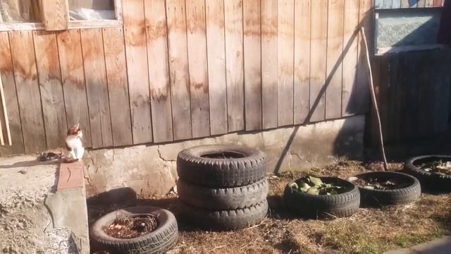 Переезд из города в деревню