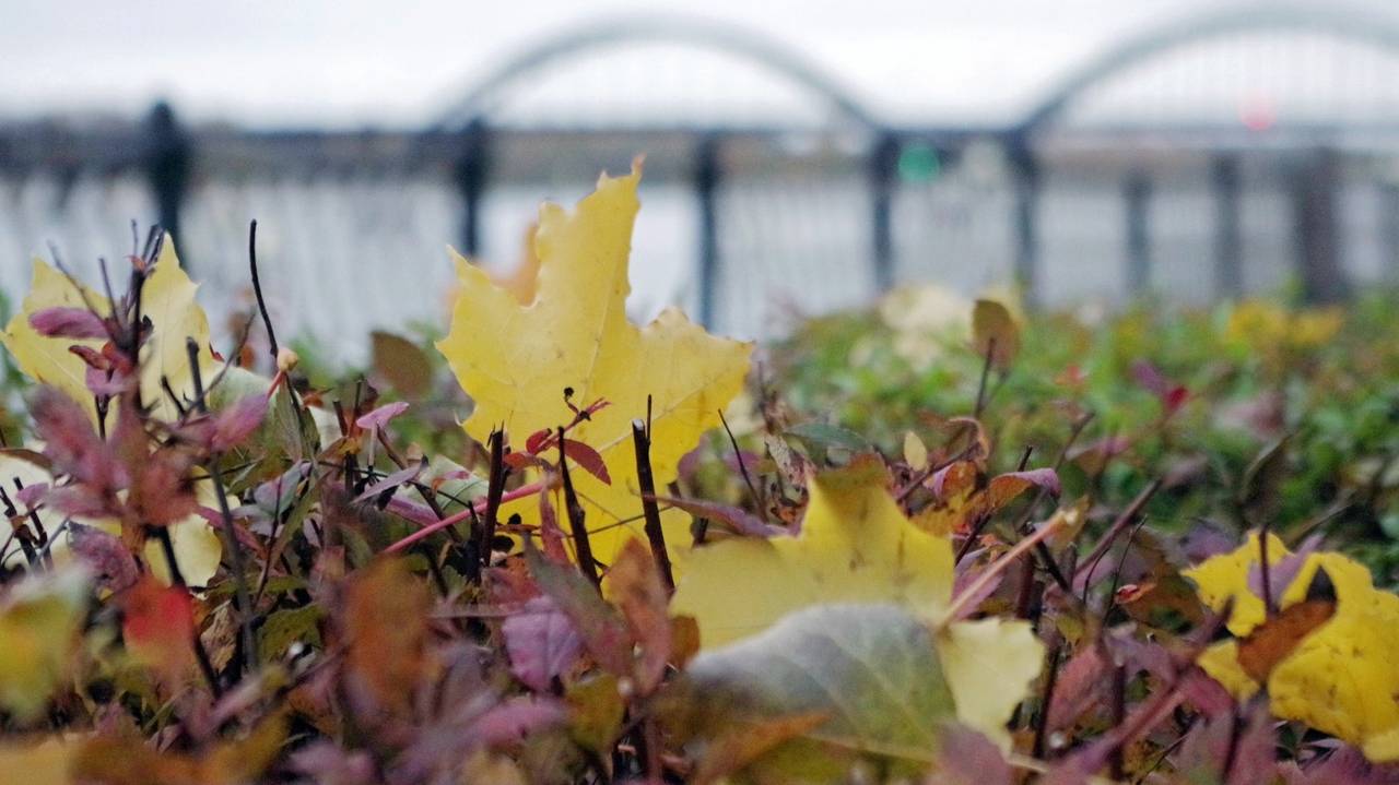 Молитвенное собрание 25.10.2024