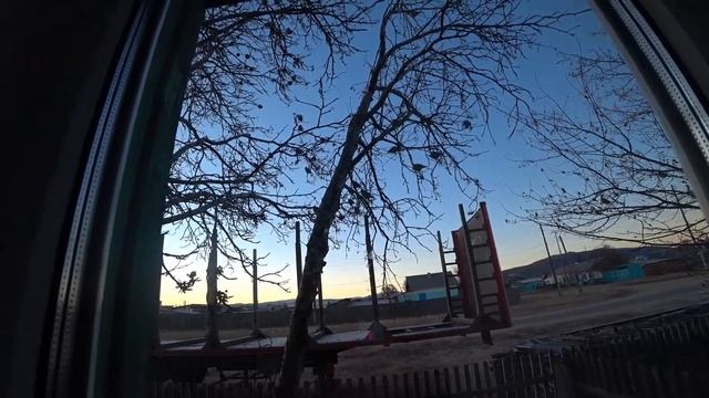 Свиристели   божьи колокольчики 2021