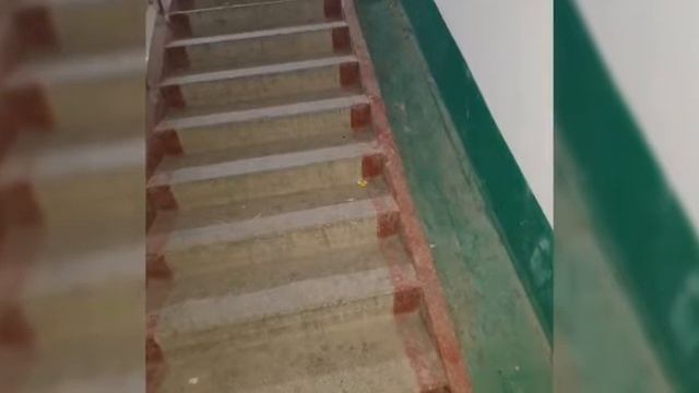 😱🤬КСК "ДОСТЫК АЯН" ГОРОДА ЖЕЗКАЗГАНА ПОЗОРРРР🤔😪😱😱
