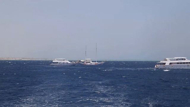 Морская прогулка Dolphin House Hurghada. Egypt. Red sea