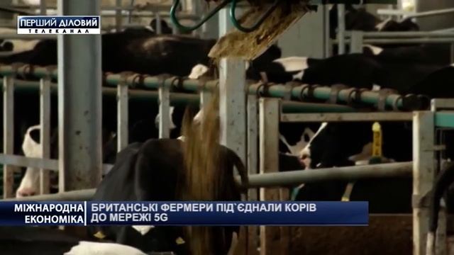 Международная экономика за 26 октября