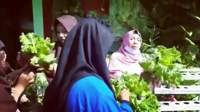 SMPN 3 Bagor Panen Hidroponik