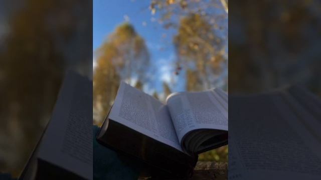 БИБЛИЯ, Ветхий завет, Бытие, глава 35