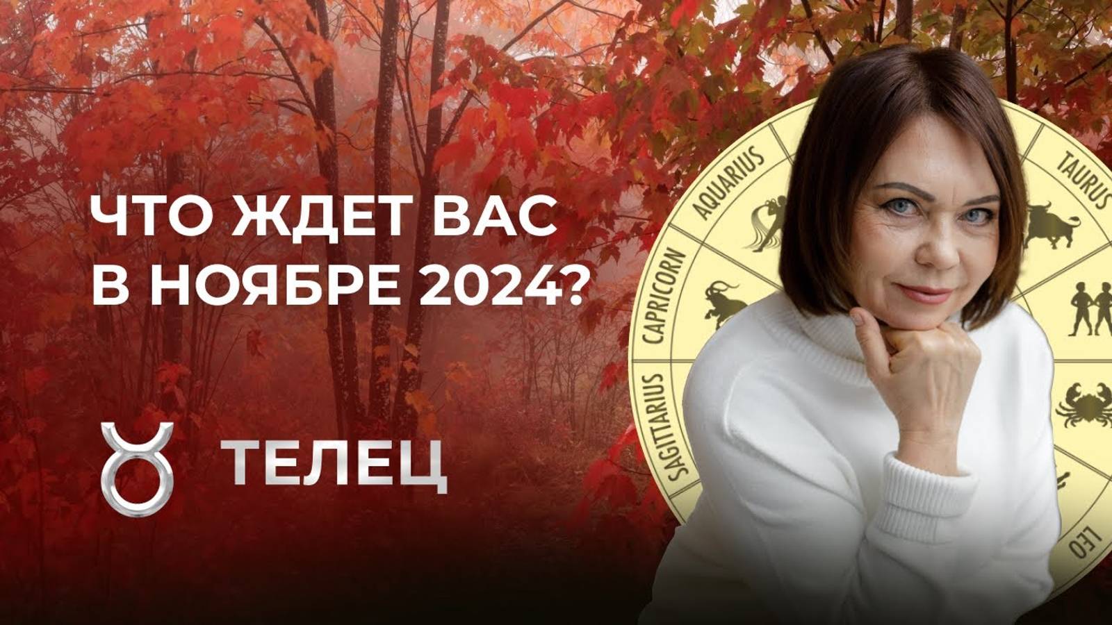 Прогноз для Тельцов на Ноябрь 2024: Партнерство, Недвижимость и Финансовые Перемены!