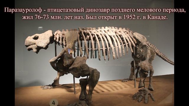 ПУТЕШЕСТВИЕ ПО 13 ШТАТАМ АМЕРИКИ 10.05.2017 - 02. 06. 2017 (часть тридцатая).