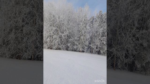 Wanye Quest feat Michael Musk - winter (ПРЕМЬЕРА ДОЛГОЖДАННОГО ТРЕКА 2022)