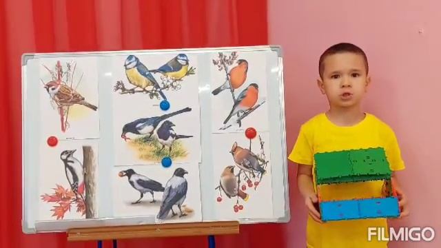 12 ноября - Синичкин день