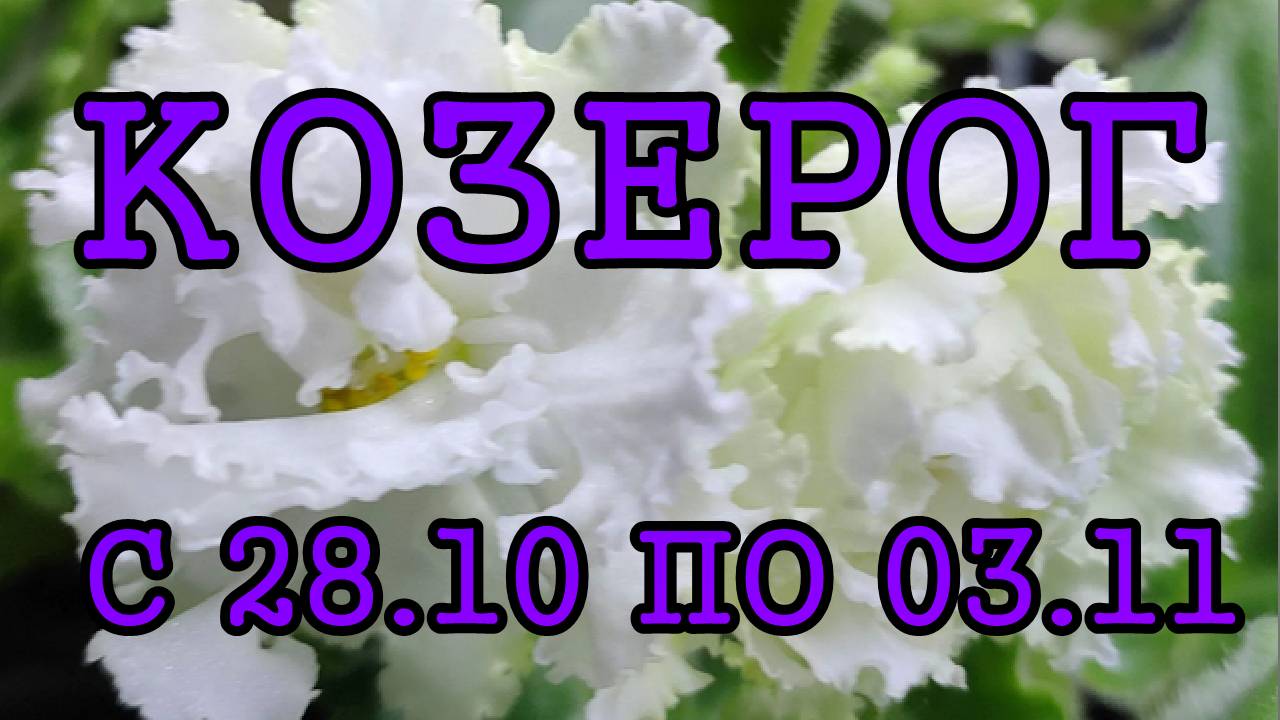 КОЗЕРОГ таро прогноз на неделю с 28 ОКТЯБРЯ по 3 НОЯБРЯ 2024 года.