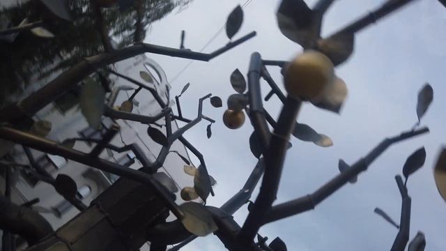 Могилев прогулка
