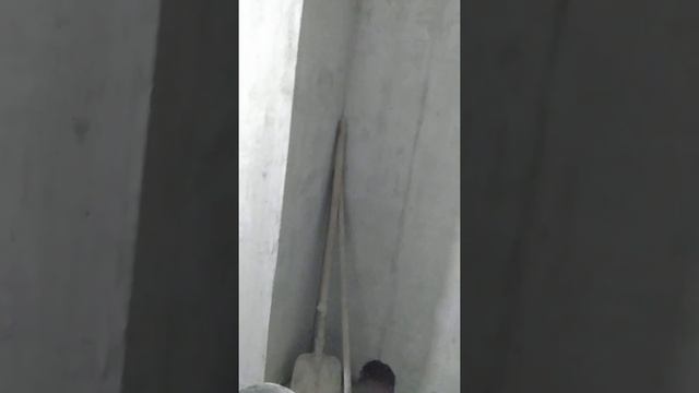 Штроба под электрику.