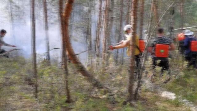 В Нижегородской области снят особый противопожарный режим и закрыт пожароопасный сезон