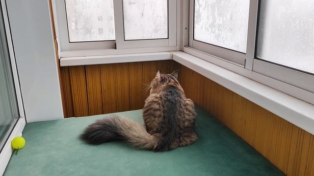 Самвел Ахламян не оперный певец, а Кукловод. Золотой ключик. Деревня дураков на Игрене.🤣🤣🤣