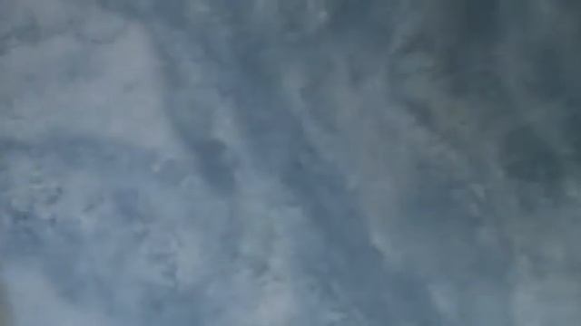 Ложка