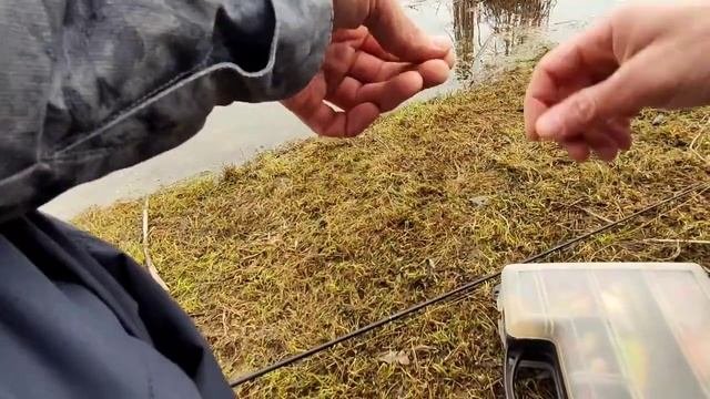 98-диалоги о Мишане ( Весной щуки нет) 10.04.2022