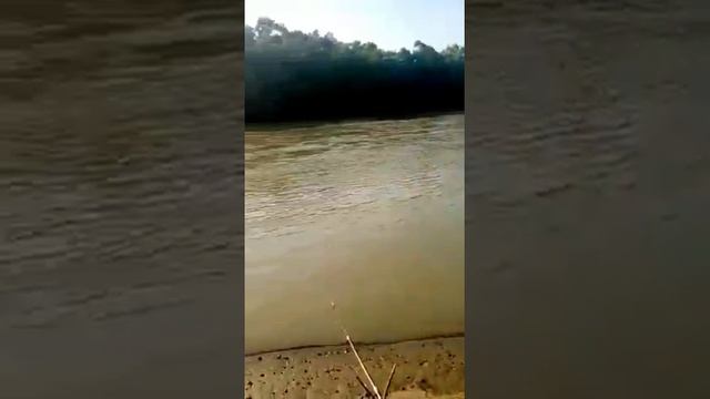 Рыбалка на кубане!