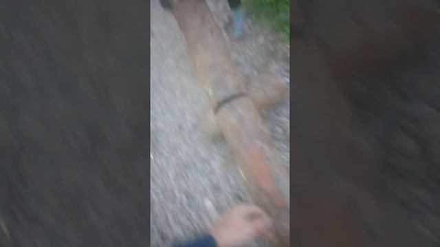 Болгарка и Ваня часть 2