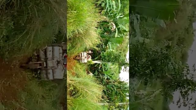 pasir panjang day tanjakan curam oper G