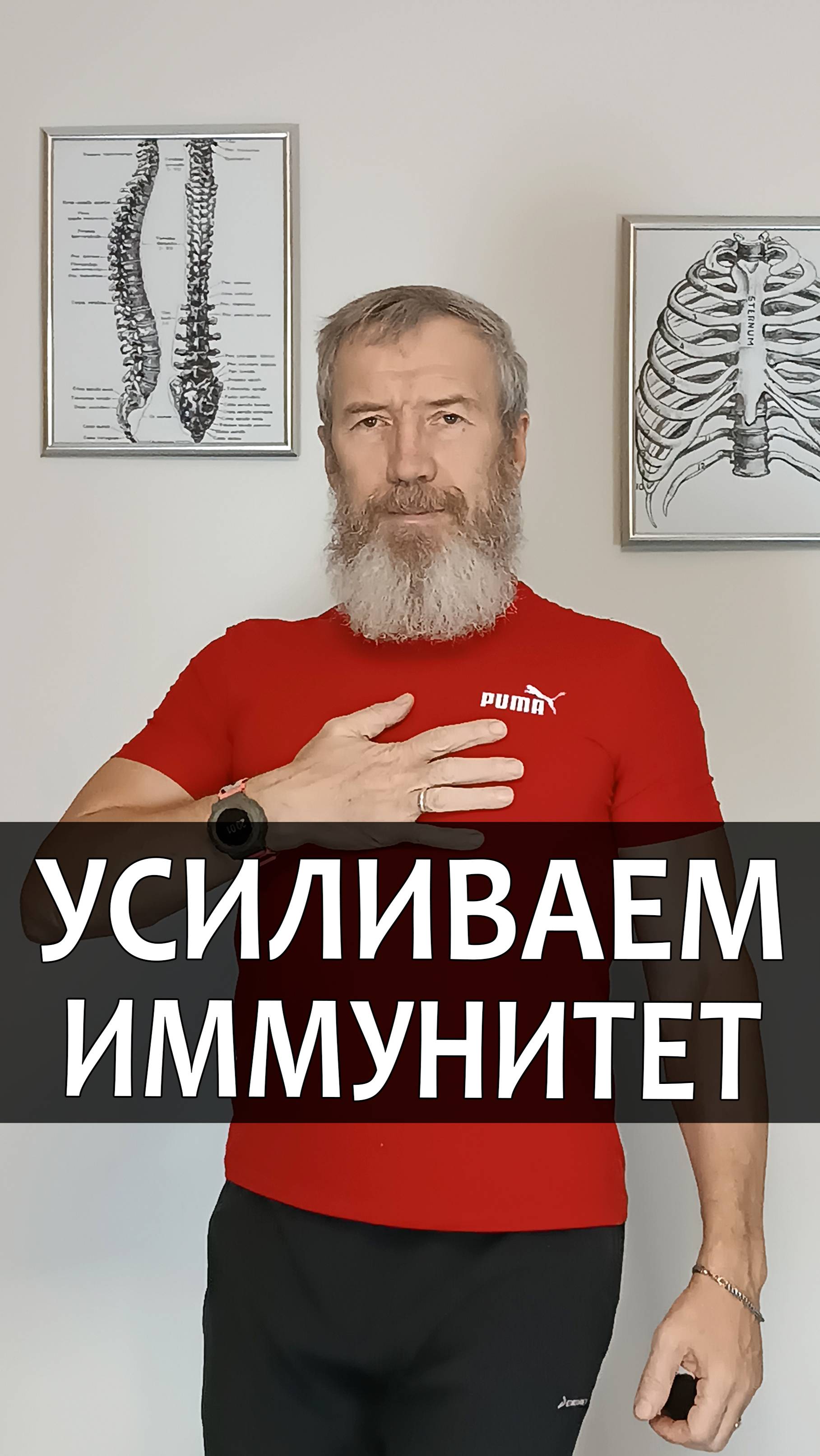 Как улучшить работу имунной системы